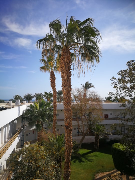 Gartenanlage The Grand Hotel Hurghada