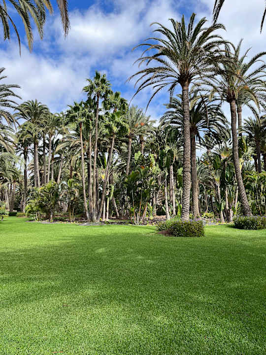 Gartenanlage Hotel Riu Palace Oasis