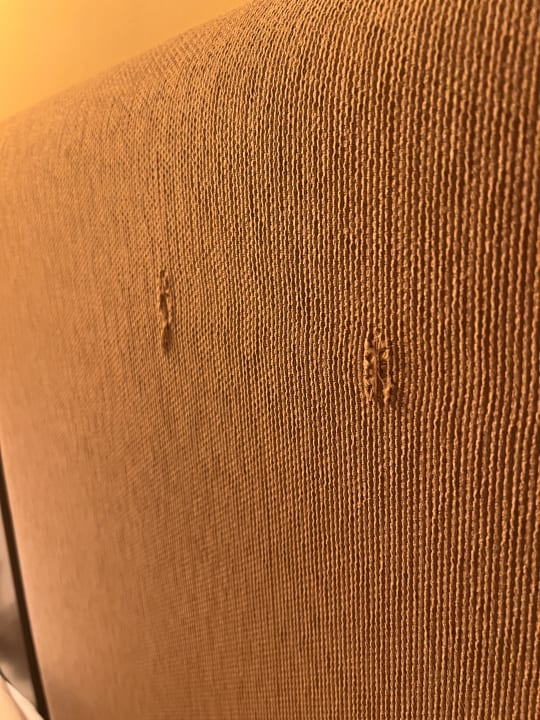 Zimmer TH Roma - Carpegna Palace