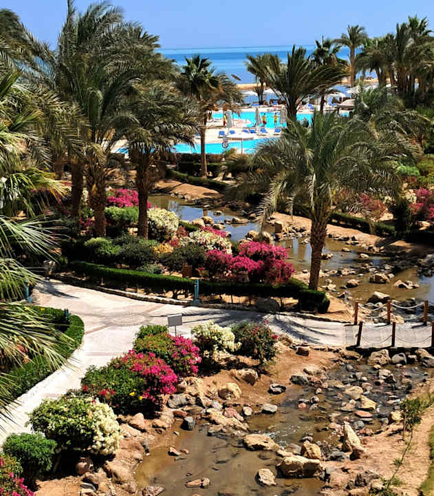 Gartenanlage Mövenpick Resort & Spa El Gouna