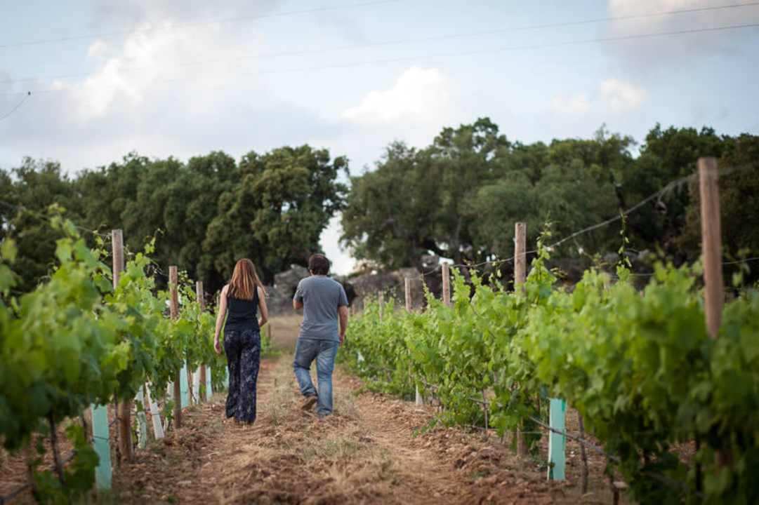 Vineyards Ferienhaus Monte da Esperança