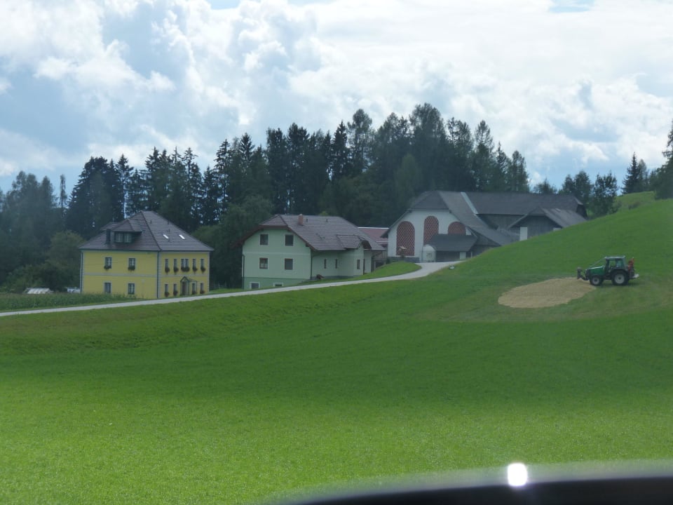 Bine - August 2011 Erlebnisbauernhof Steinerhof