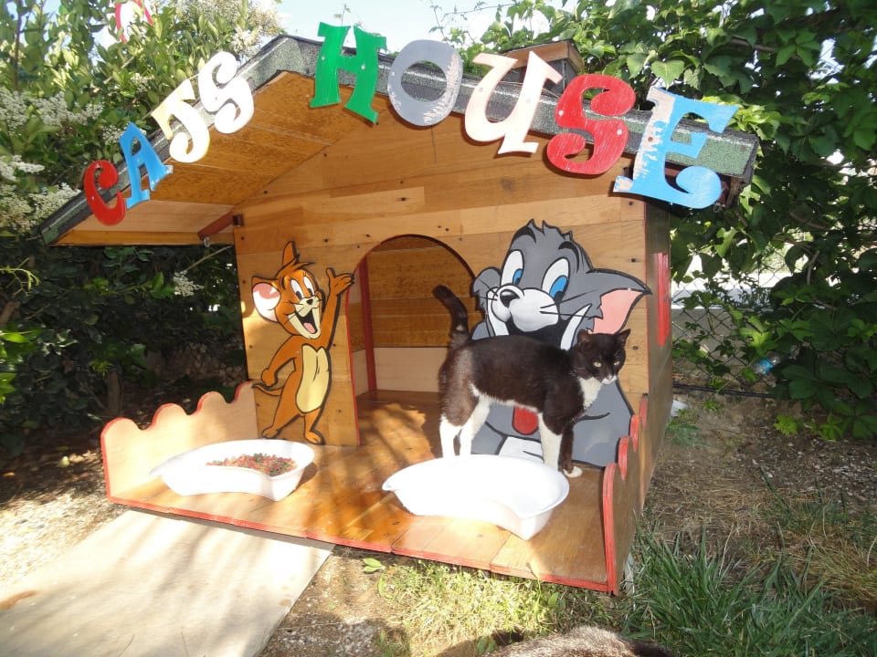 Super - ein sauberes Katzenhaus Sunis Evren Beach Resort Hotel & Spa