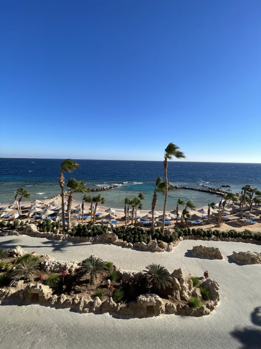 Zimmer Pickalbatros Citadel Resort