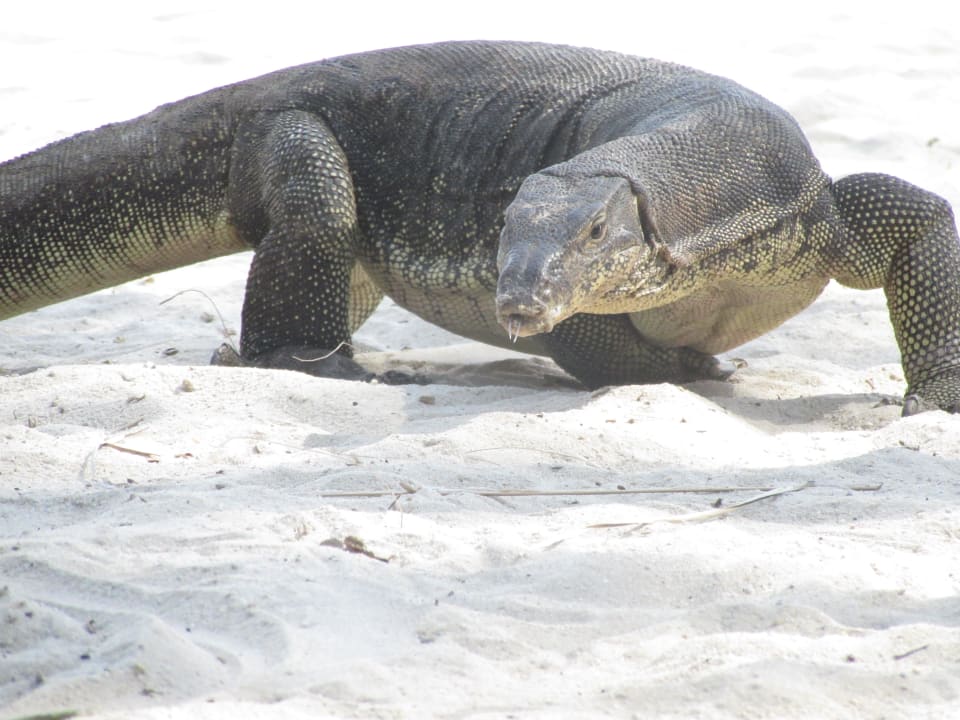 Strandbesucher Berjaya Langkawi Resort