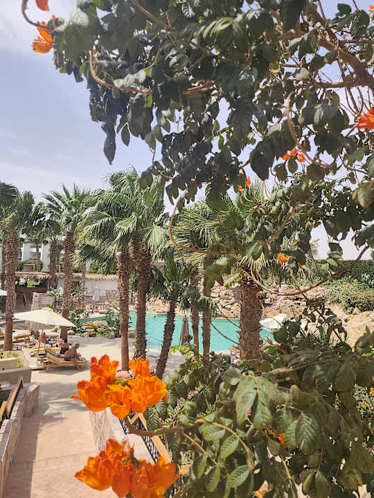 Pool Fort Arabesque Resort, Spa & Villas