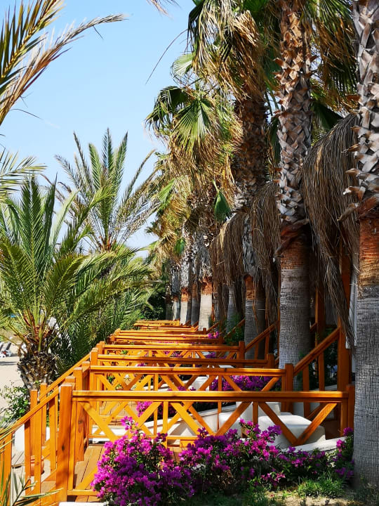 Strand Paloma Oceana