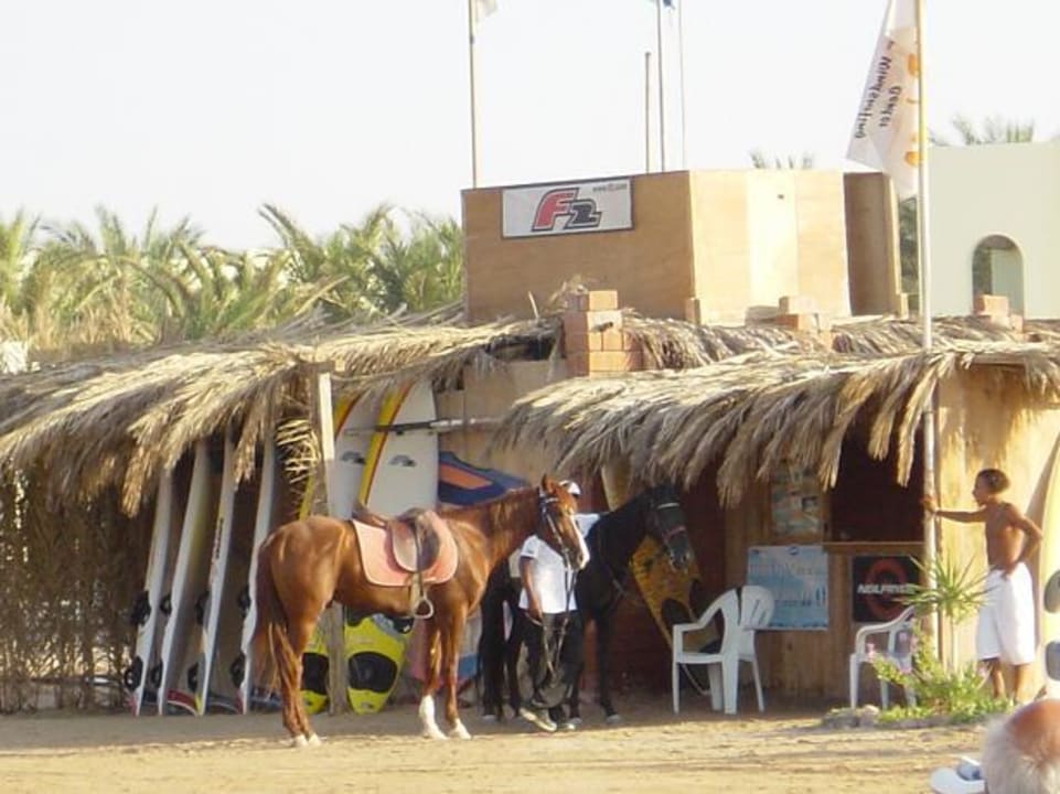 Palm Beach Resort / Hurghada Palm Beach Resort