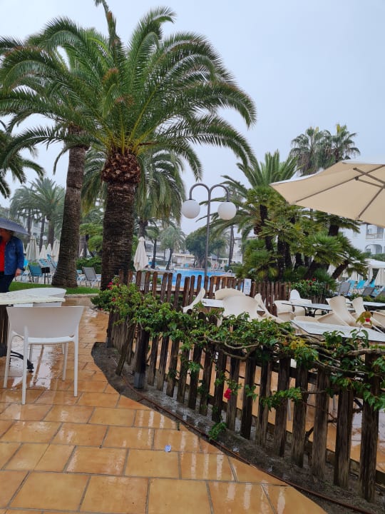 Gastro Alcudia Garden Aparthotel