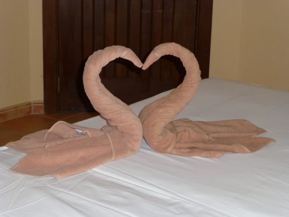 Dankeschön der Reinigungskraft für Trinkgeld Hotel Riu Funana