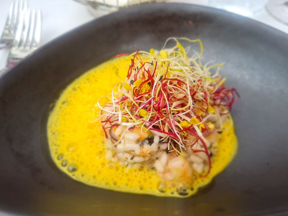 Gastro Der Birkenhof - Spa & Genuss Resort