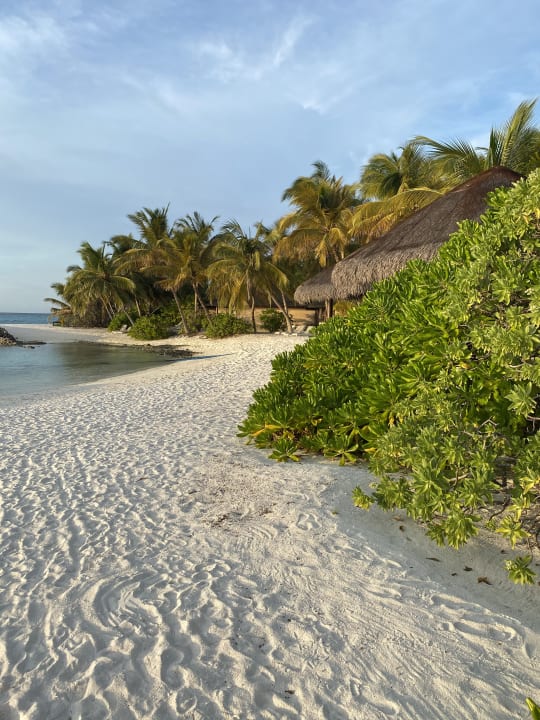 Strand Summer Island Maldives