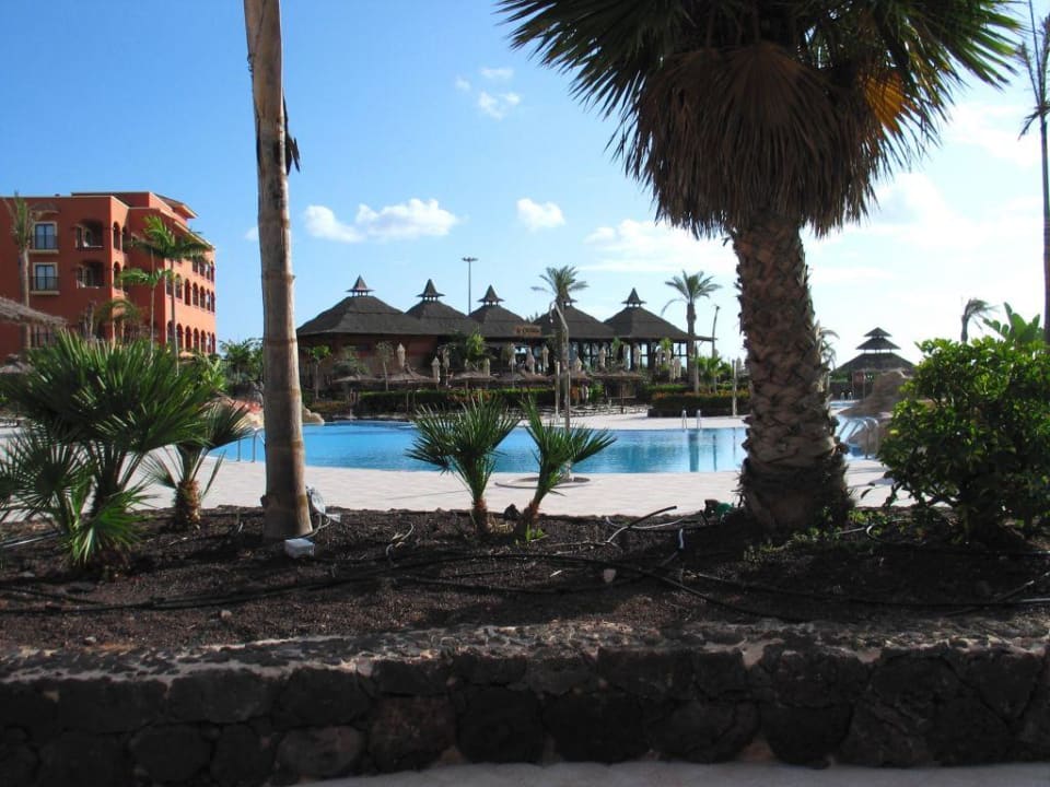 Blick in die herrliche Gartenanlage Sheraton Fuerteventura Golf & Spa Resort
