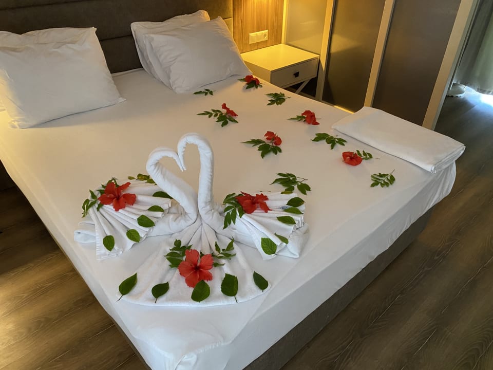 Zimmer Monachus Family Resort Sorgun