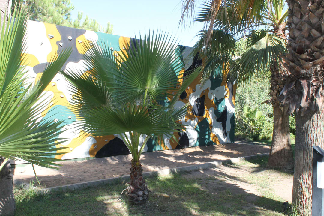 Kletterwand für Kinder Blue Waters Club