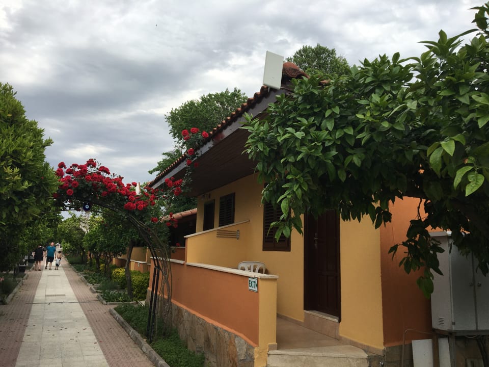 Gartenanlage Özlem Garden Hotel