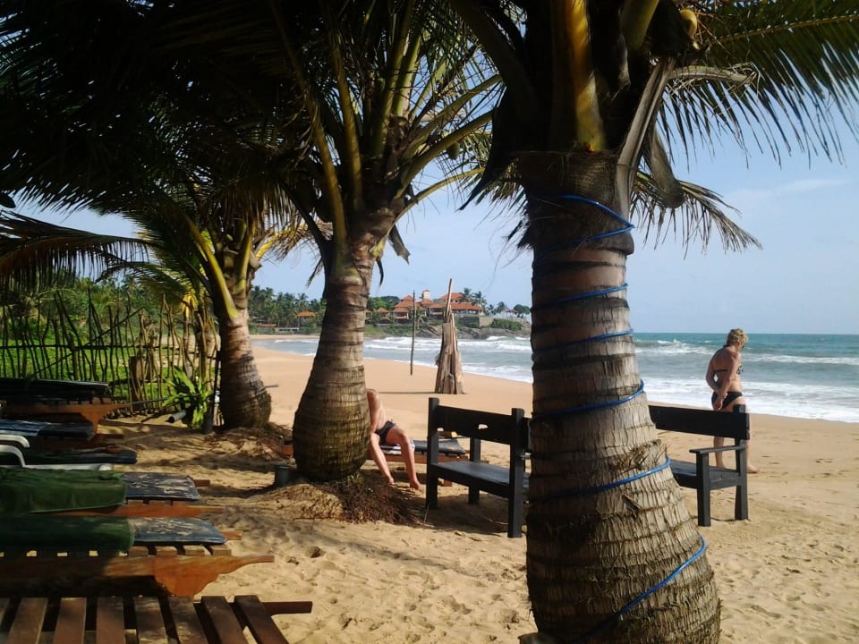 Strand mit den kostenlosen Liegen Hotel Bentota Village