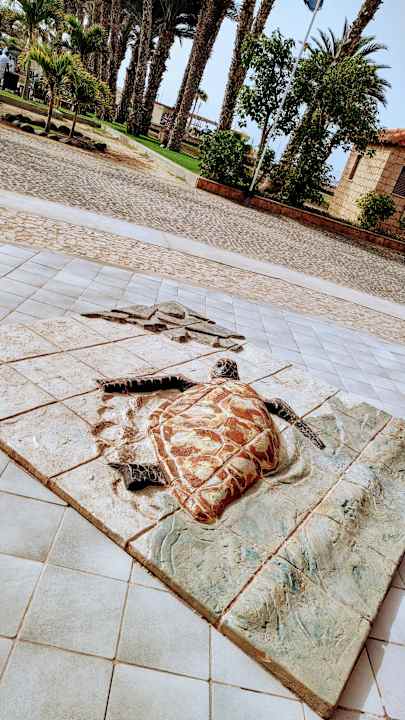 Außenansicht Hotel Morabeza