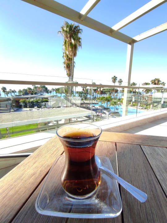 Gastro Acanthus Cennet Barut Collection