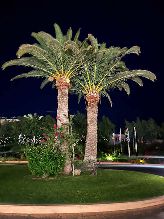 Außenansicht Anissa Beach & Village