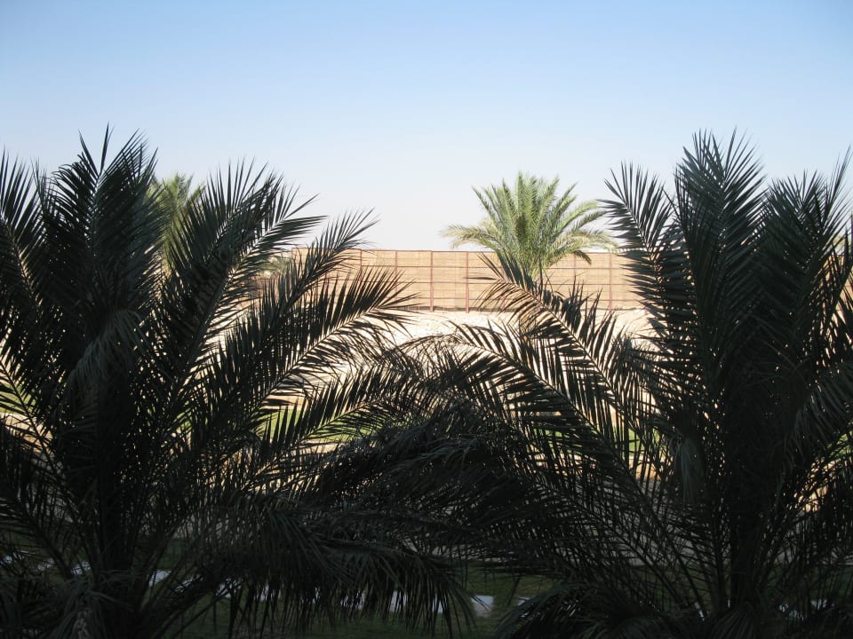 Ausblick 2 Etage auf die Sichtschutzwand Premier Le Reve Hotel & Spa