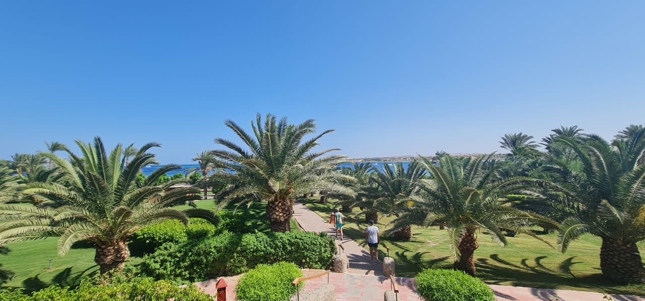 Gartenanlage Fort Arabesque Resort, Spa & Villas