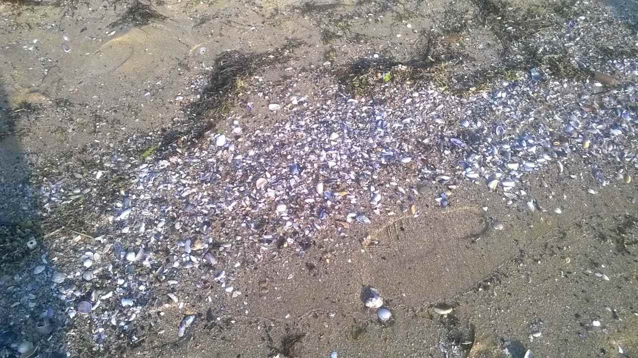 Brzeg plaży o poranku Sol Luna Bay