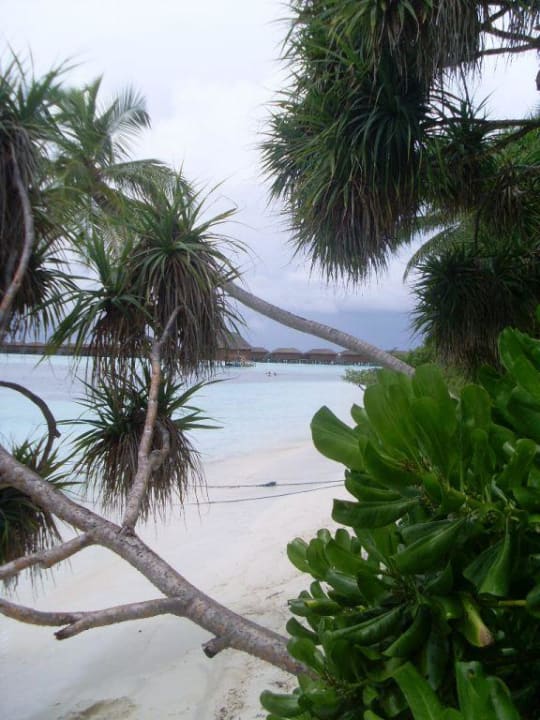 Am Strand  Meeru Maldives Resort Island