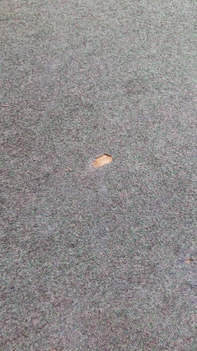 Teppiche in den Fluren dreckig und kaputt  !  Fletcher Badhotel Callantsoog