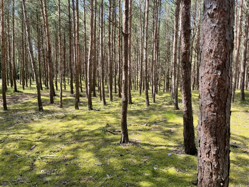 Gartenanlage Dworek Jamneński