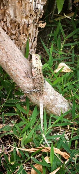 Sonstiges Kuramathi Maldives