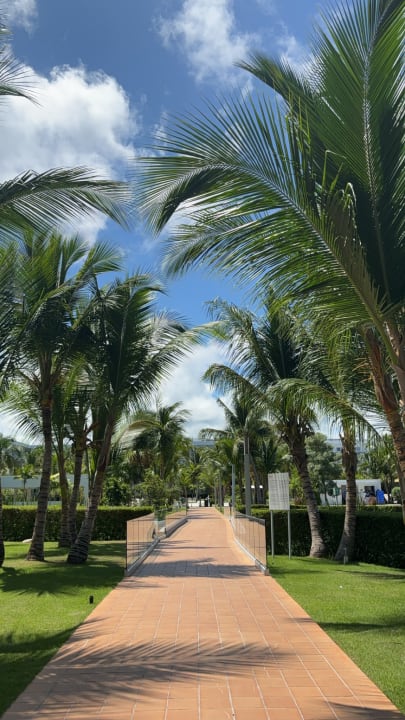 Gartenanlage Hotel Riu Republica - Adults only