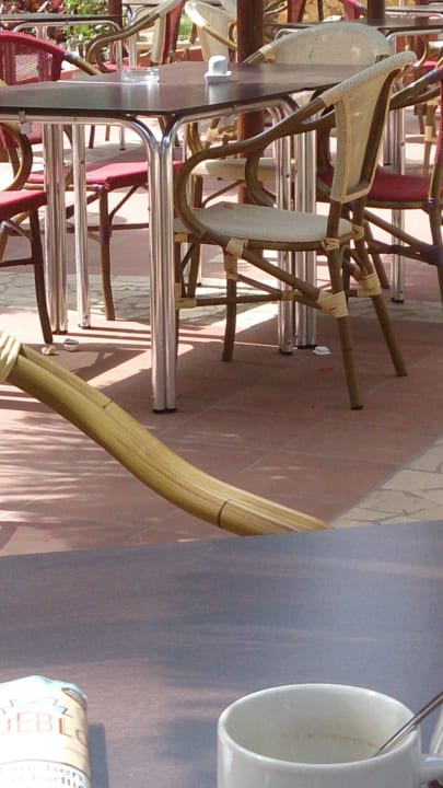 Müll bleib einfach am Boden liegen  SBH Fuerteventura Playa
