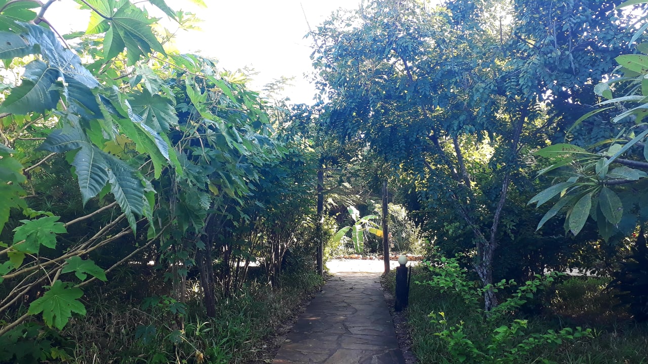 Gartenanlage Spice Island Hotel & Resort