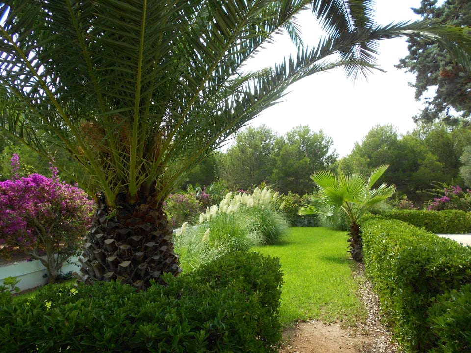 Bereich hinter der Bühne Millor Sol