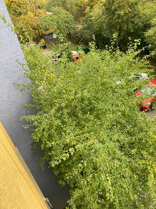 Ausblick Best Western Hotel Windorf