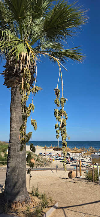 Strand Iberostar Selection Diar El Andalous