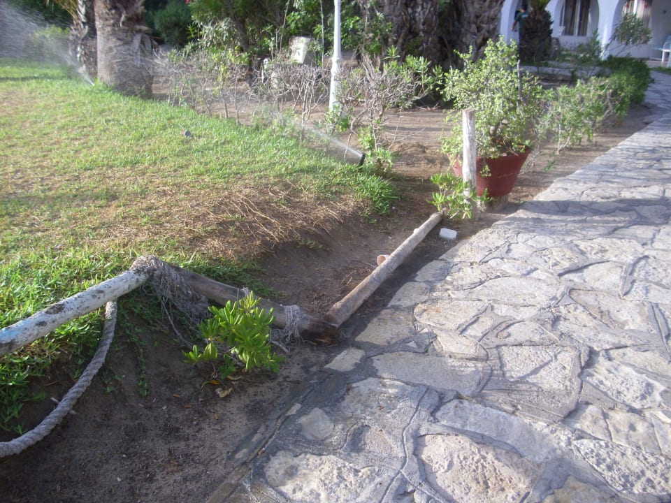 Gartenanlage Marhaba Royal Salem