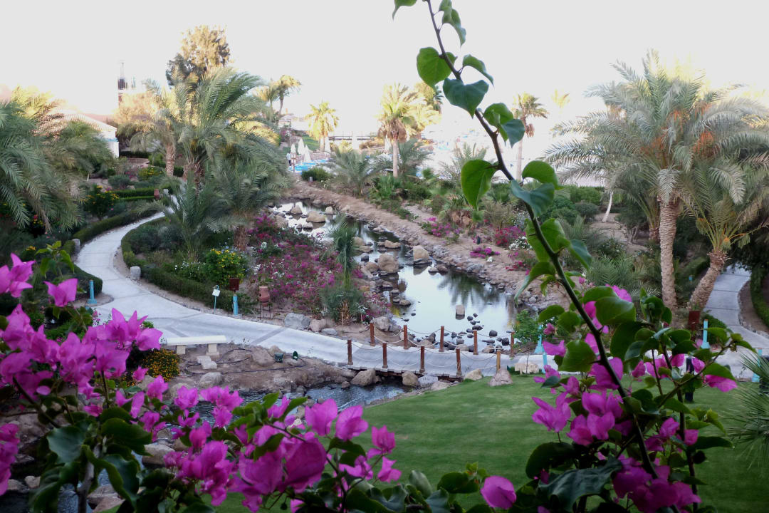 Blumen Mövenpick Resort & Spa El Gouna