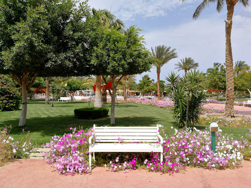 Gartenanlage Desert Rose