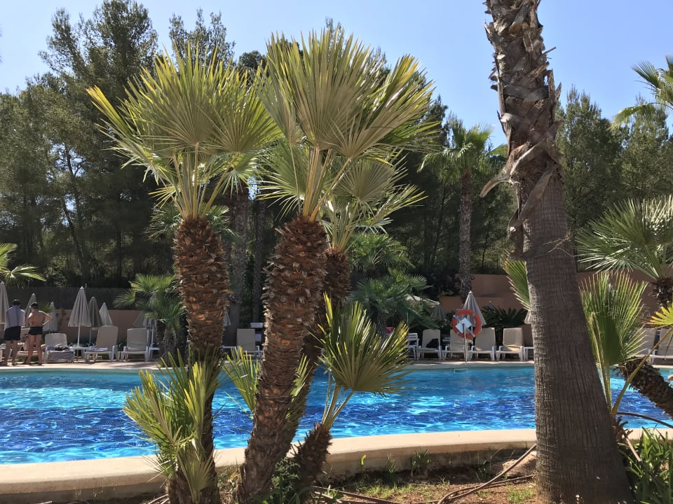 Pool Flipflop Cala Romantica