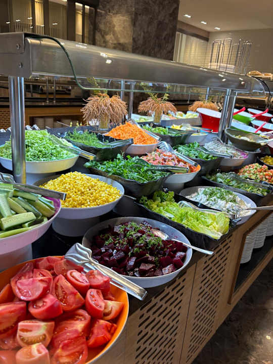 Gastro Seashell Vega