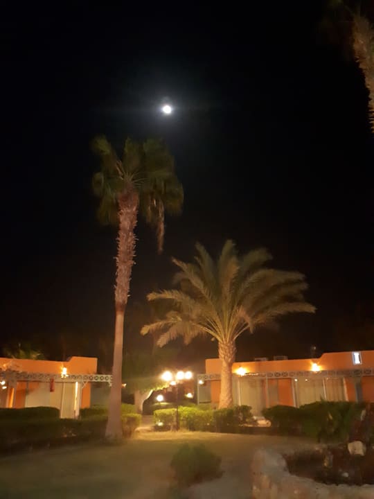 Sonstiges Giftun Azur Resort