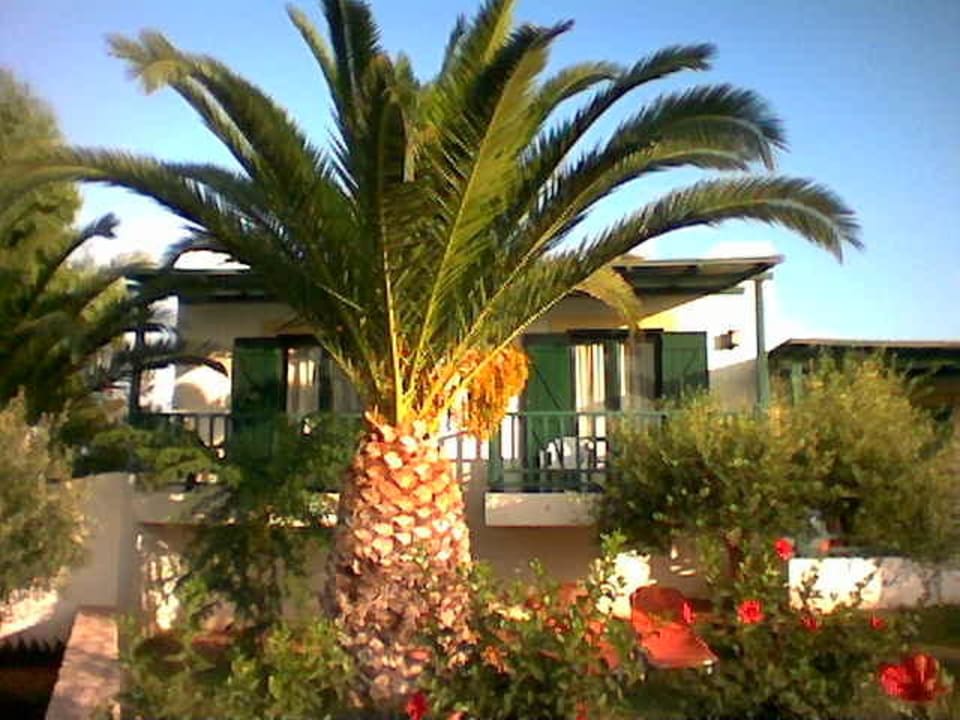 Chrissi Amoudia Bungalow TUI SUNEO Chrissi Amoudia