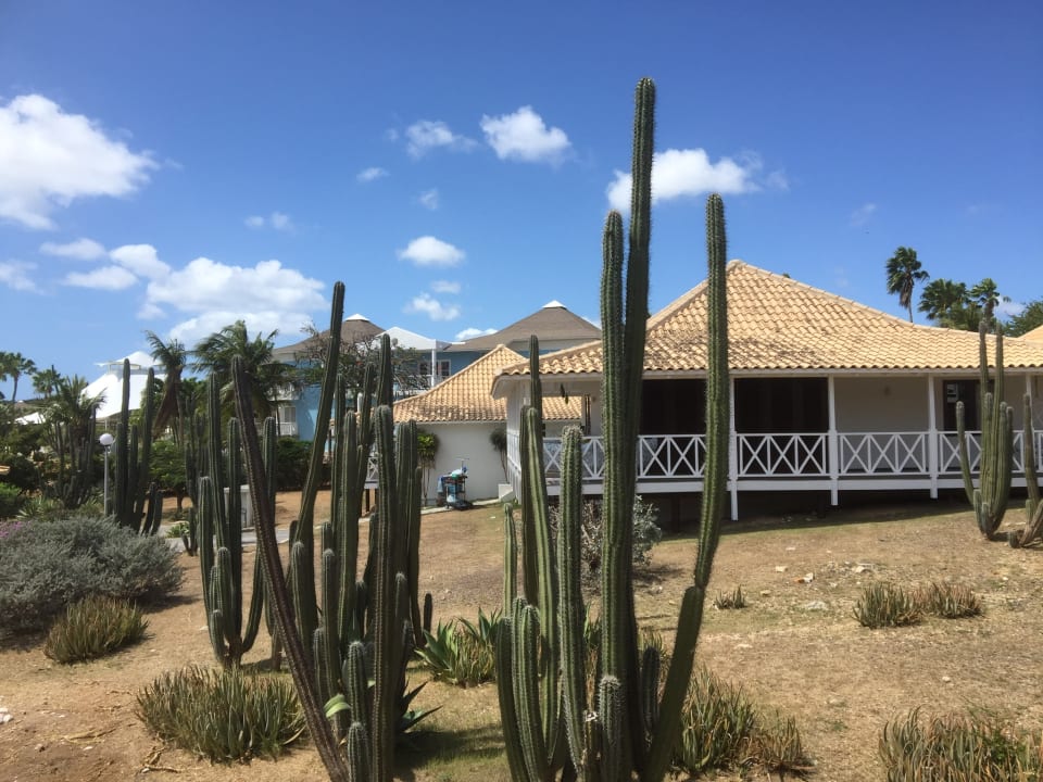 Außenansicht Papagayo Beach Resort