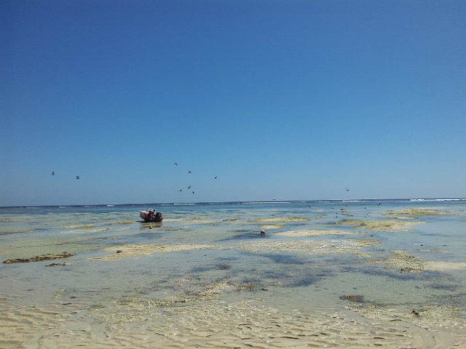 Strand bei Ebbe Villa Dorado