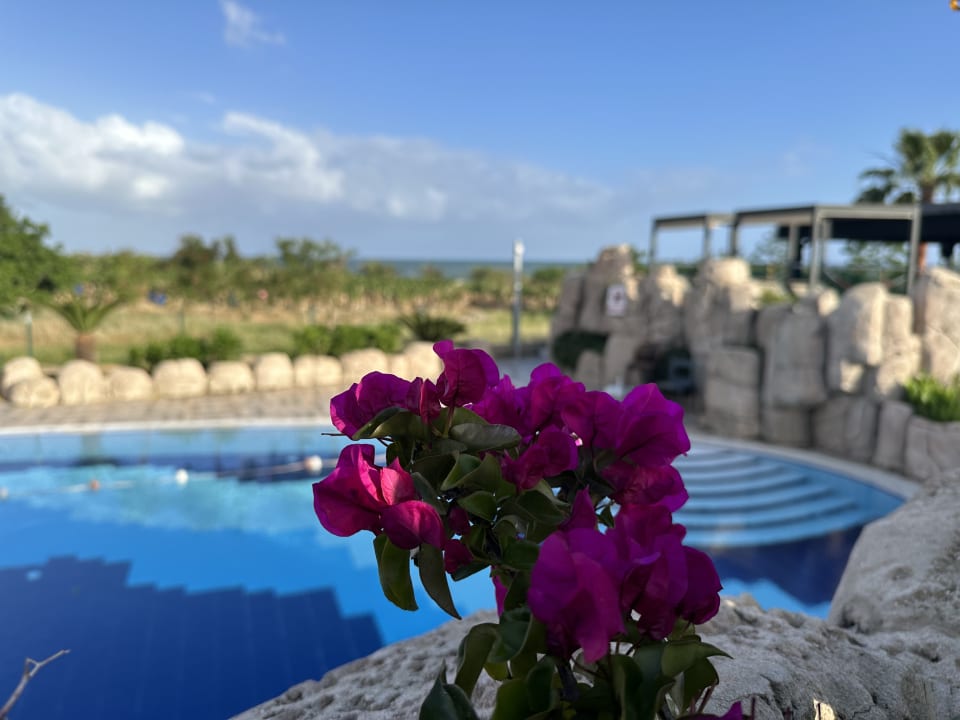 Pool Numa Bay Exclusive Hotel