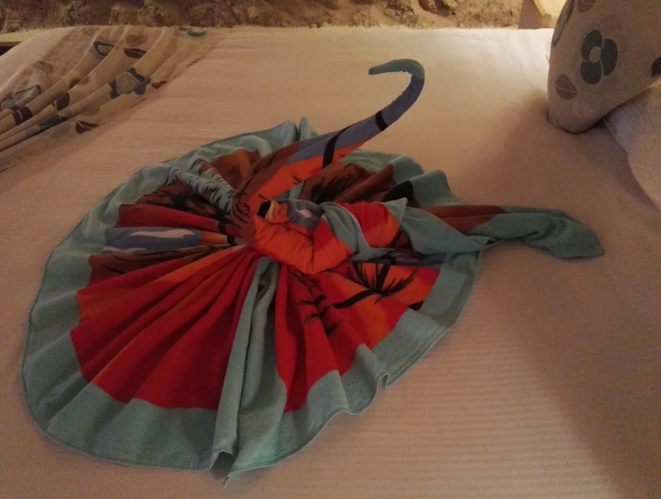 Zimmer Pickalbatros Citadel Resort