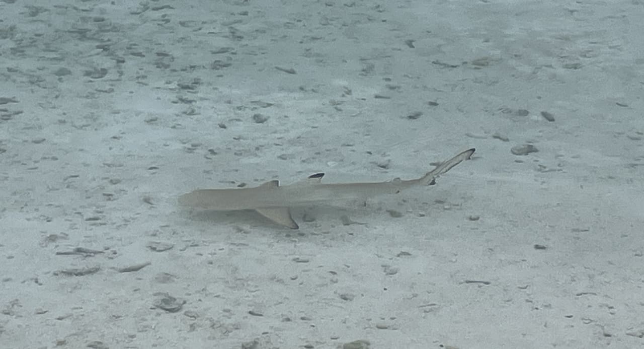 Strand Cinnamon Dhonveli Maldives