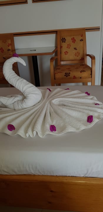 Zimmer Menaville Safaga